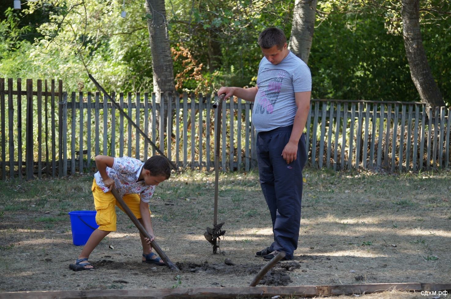 SONY DSC
